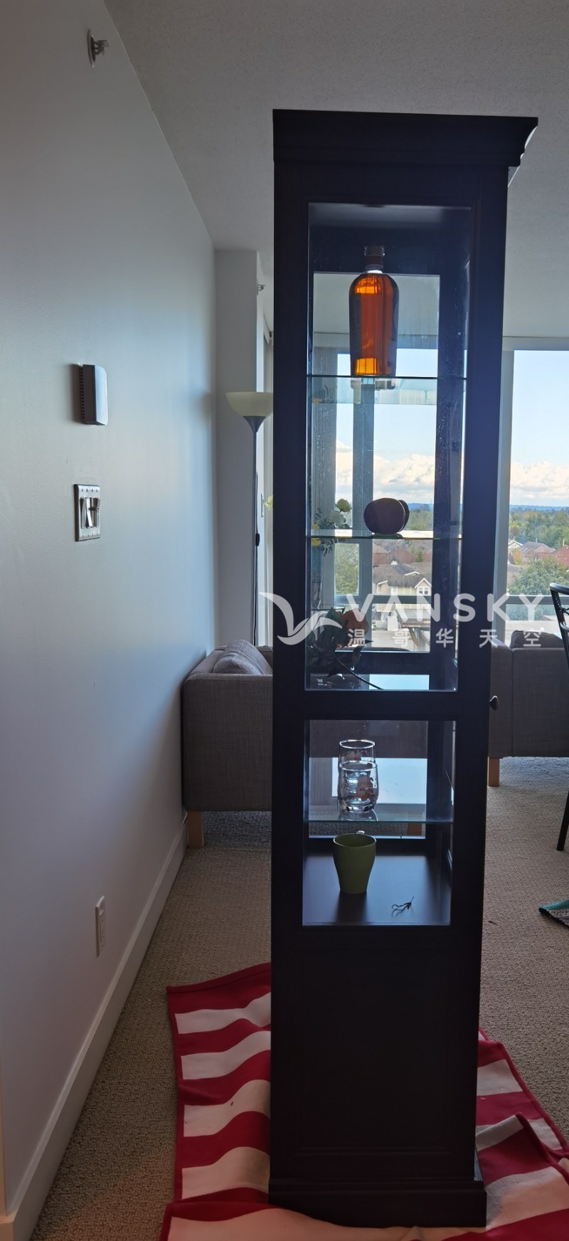 240914235321_Image_cabinet  with   glass door.jpg